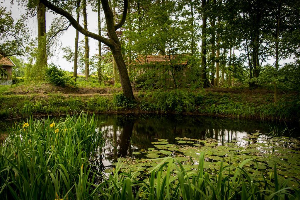 Thil'S Bed And Breakfast Ambt Delden Bagian luar foto