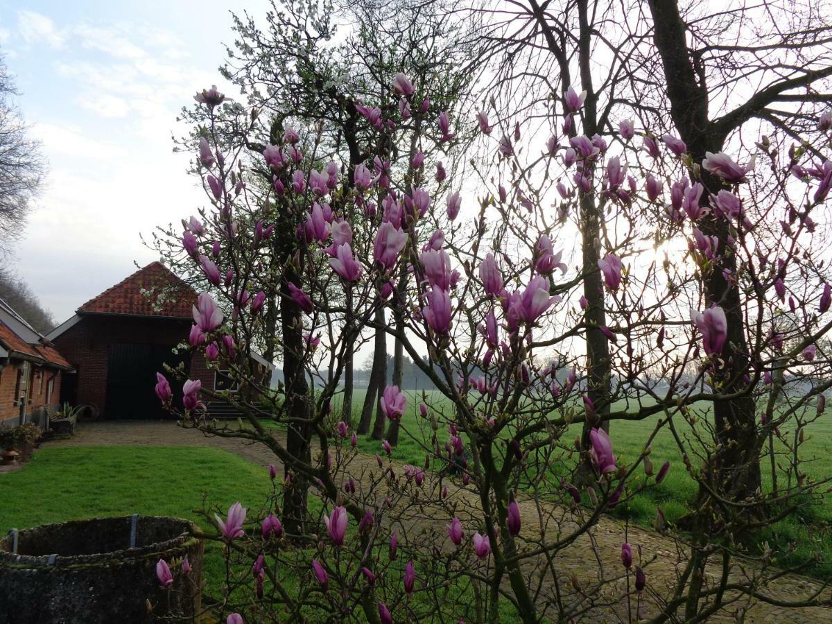 Thil'S Bed And Breakfast Ambt Delden Bagian luar foto